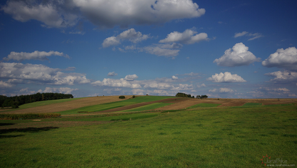 Okolice Gochowic/Prade