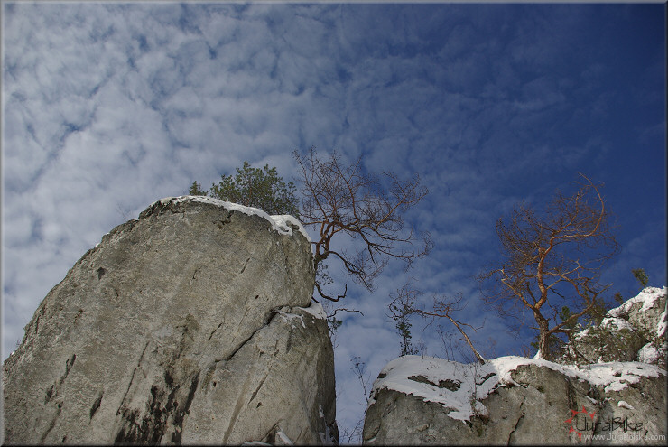 Gra Zborw, Podlesice