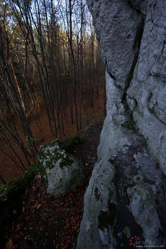 Wzgrze Duga, Ryczw
