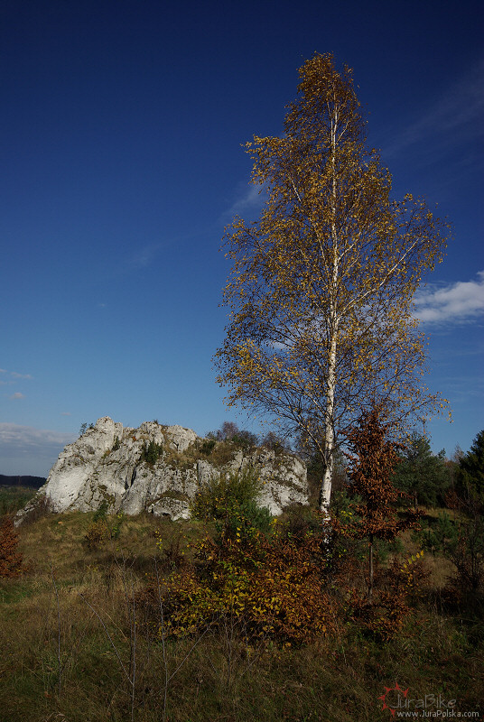 Straszykowe Skay, Ryczw