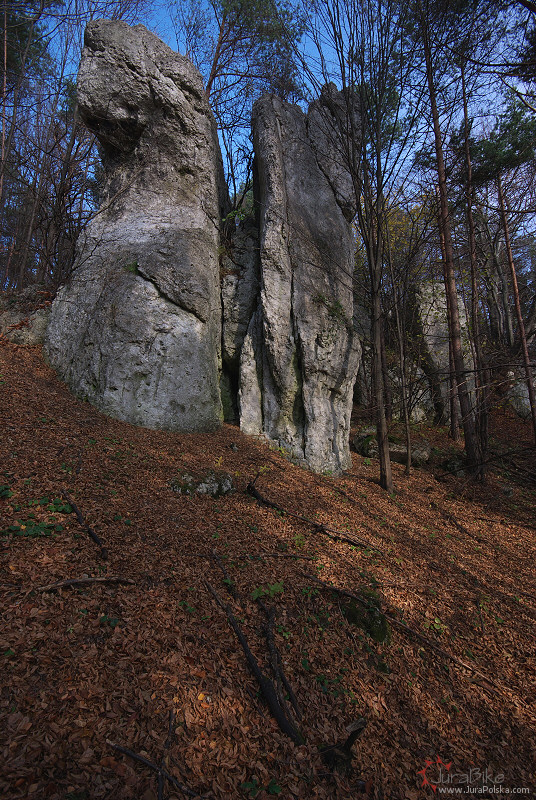 Poudniowe zbocza winiuszki, Rodaki