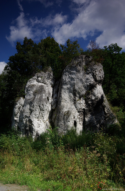 Dolina Udorki