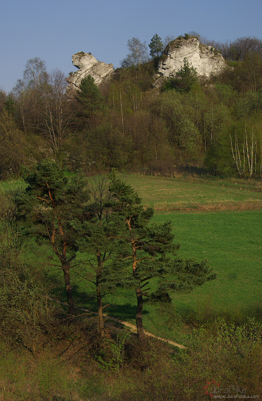 Krzywo, Dolina Wodca