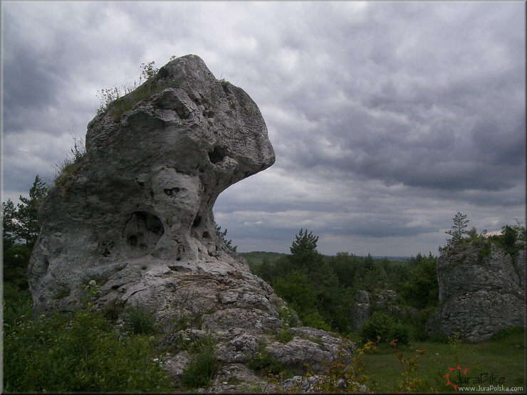 Gra Zborw, Podlesice