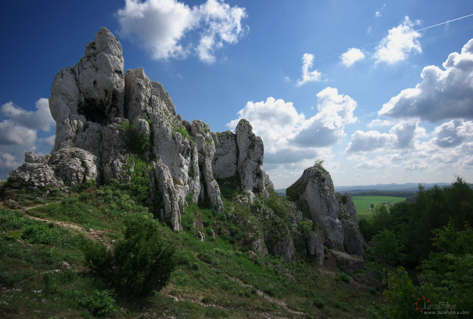 Gra Janowskiego, Podzamcze
