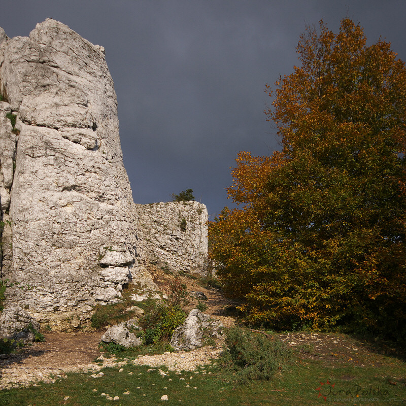 Skaki Rzdkowickie