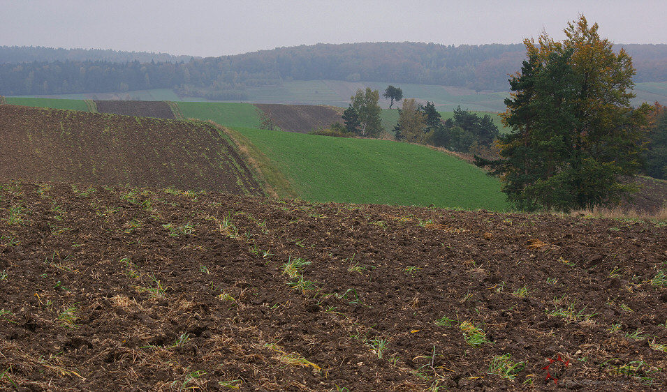 Okolice Szypowic