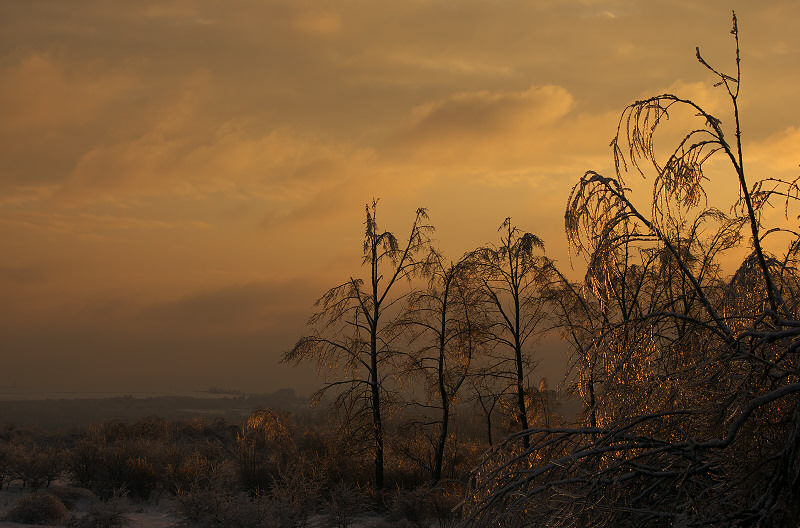 Zalodzona kuesta, Wodowice, stycze 2010r.