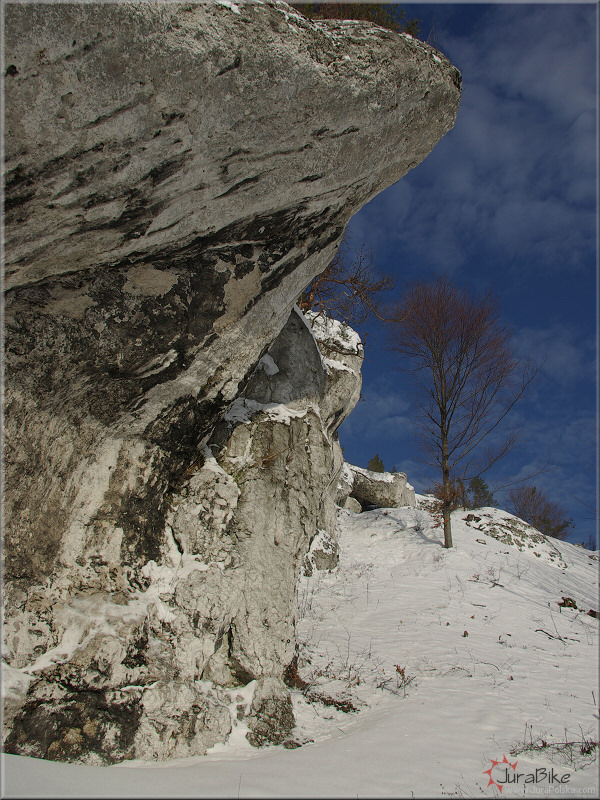 Gra Zborw, Podlesice