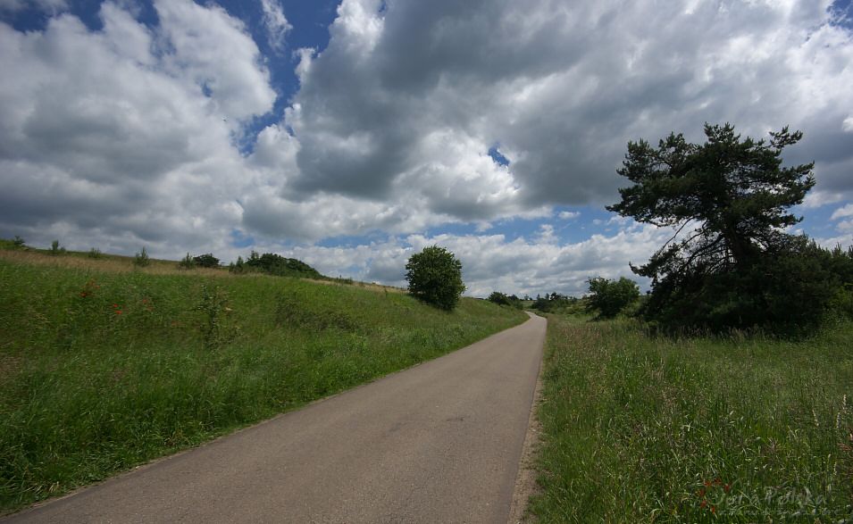 Kol. Sachalin, Mokrus