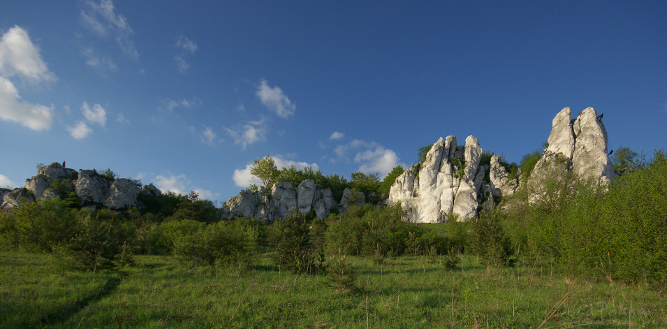 Skaki Rzdkowickie