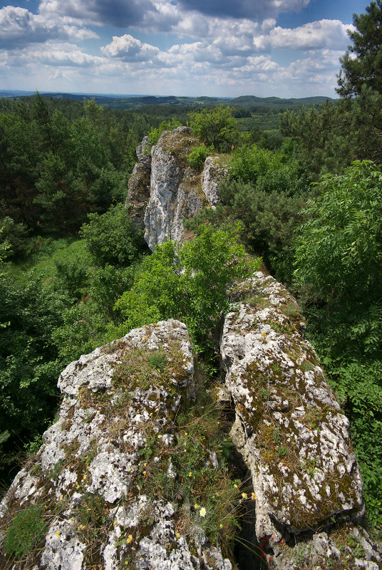 Straszykowe Skay, Ryczw