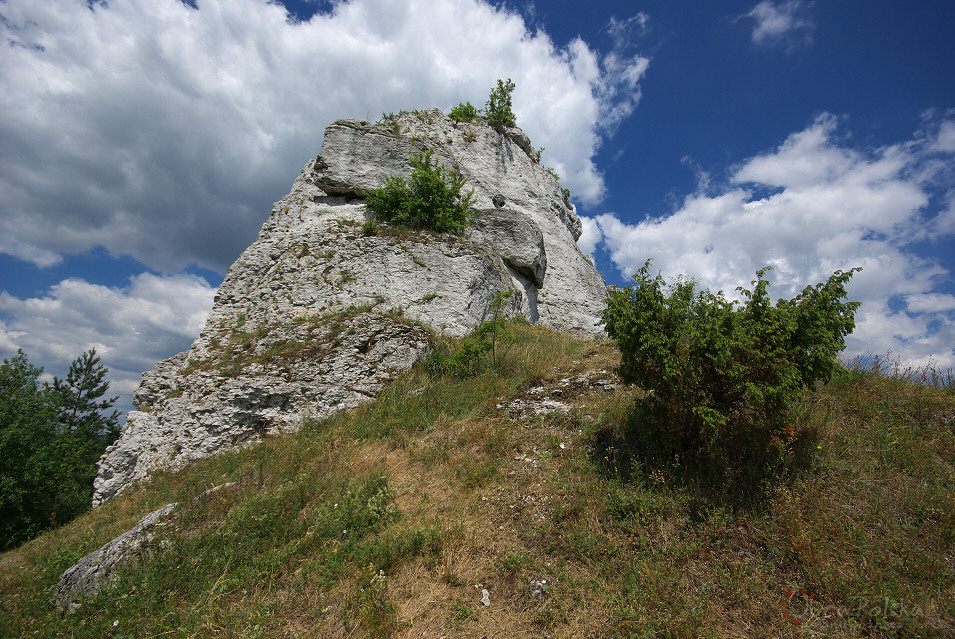Straszykowe Skay, Ryczw