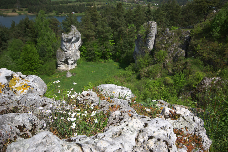 Skałki Kroczyckie, Słupsko