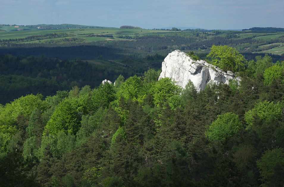 Skałki Kroczyckie, Góra Zborów