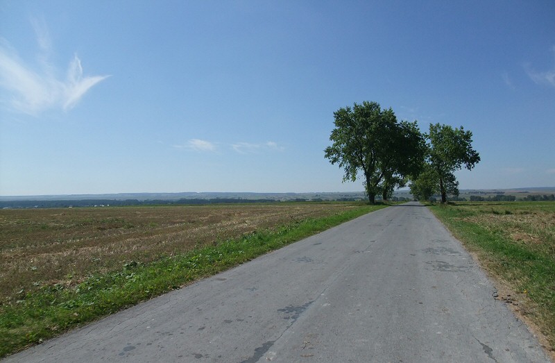droga Imielno - Mierzwin