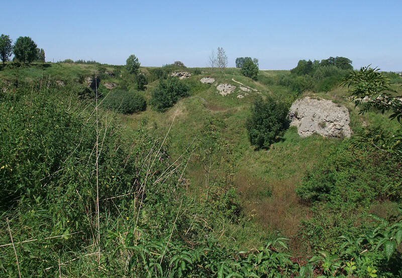 rez. Skorocice