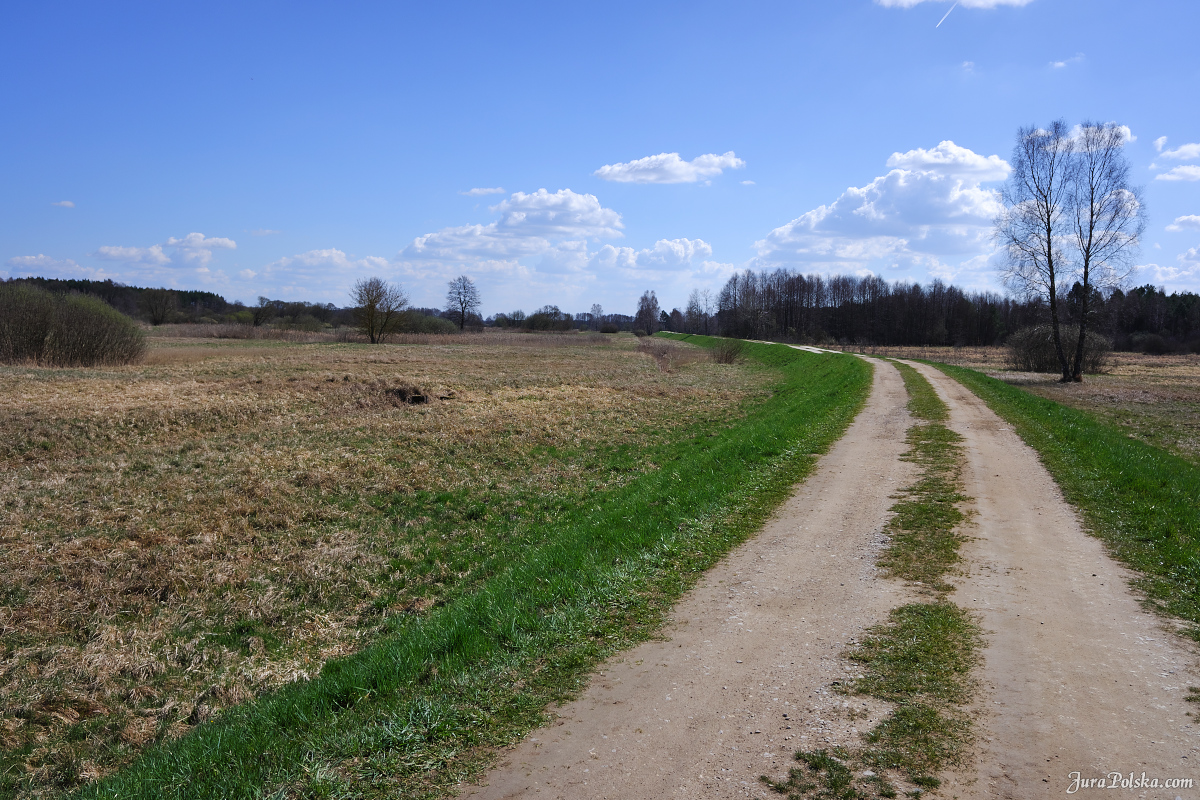 Warta