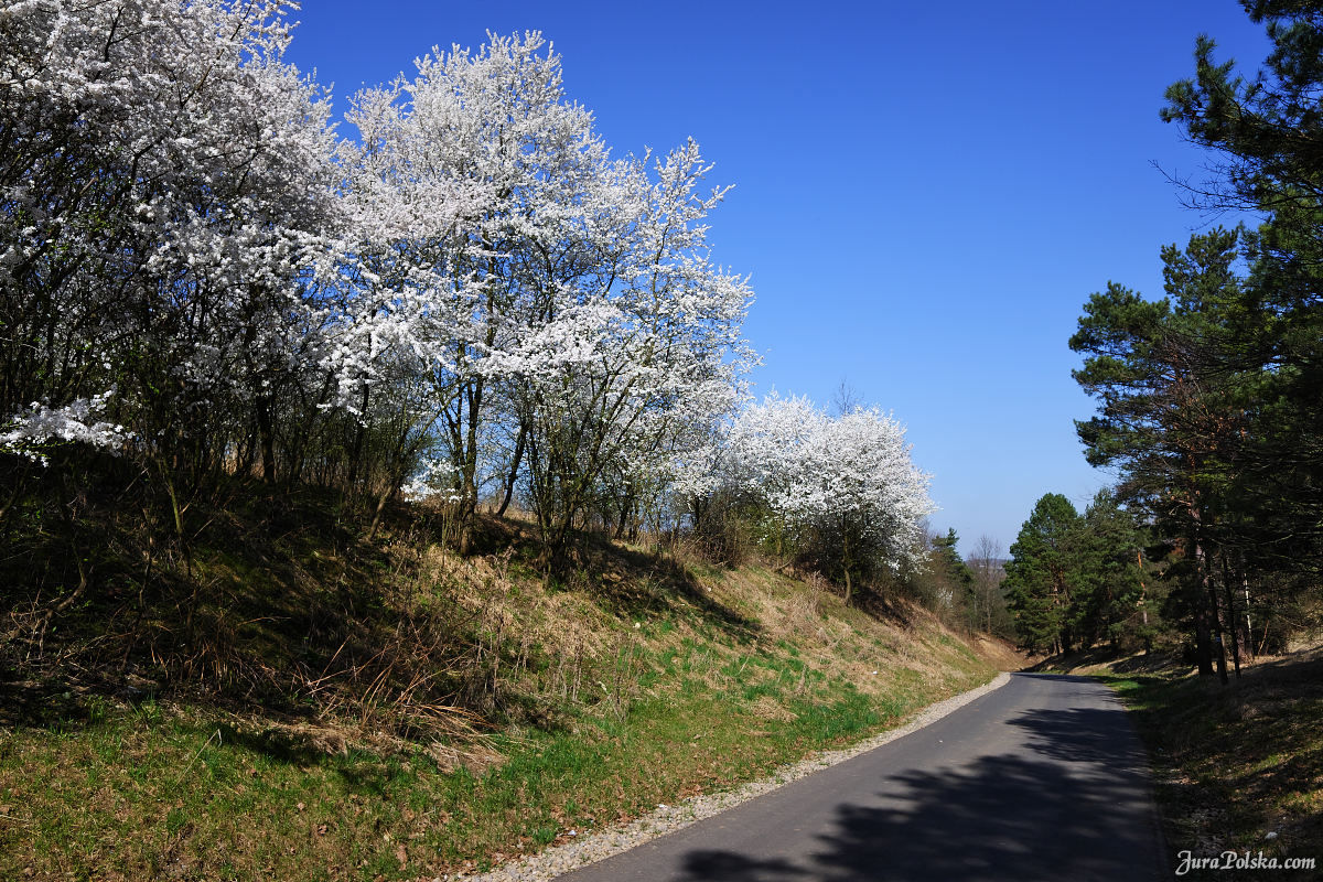 Mstów