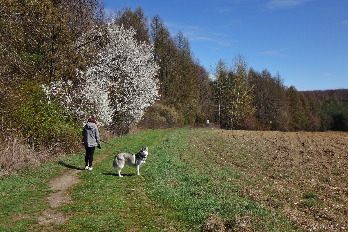 Rakietówka nad Mokrusem
