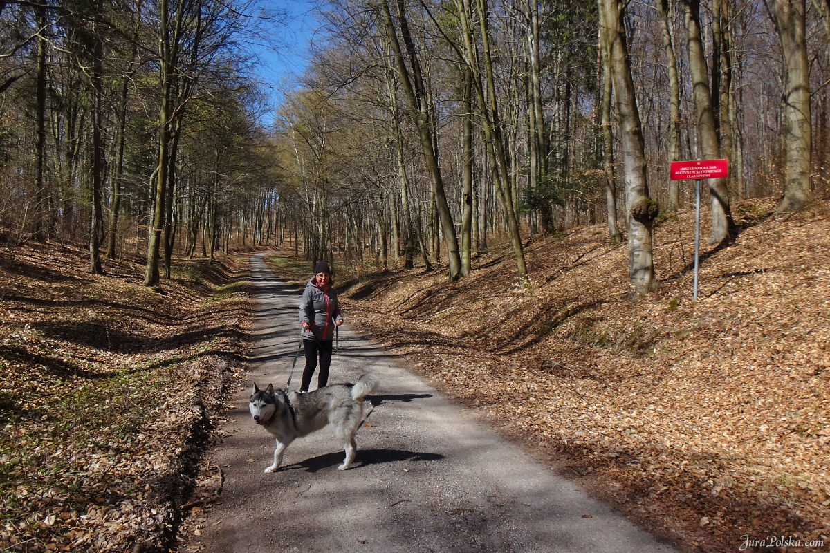 Rakietówka nad Mokrusem