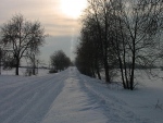 17285031-12-05_4_115.jpg