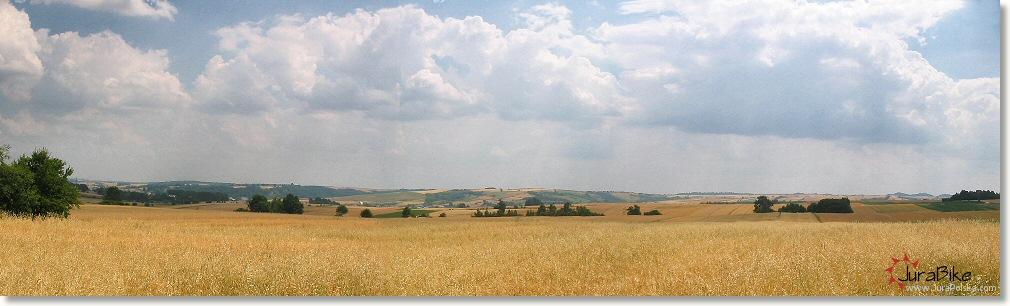 16464810.jpg