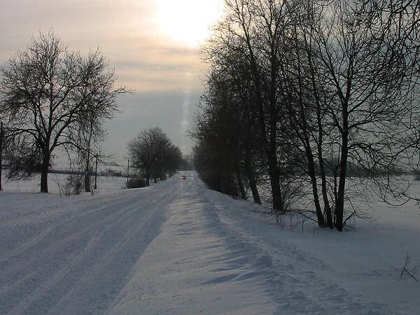 17285031-12-05_4_115.jpg